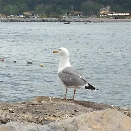 Affittacamere La Lanterna