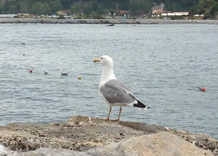 Vendégház La Lanterna